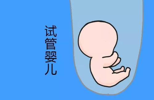 慈安中西医结合试管中心